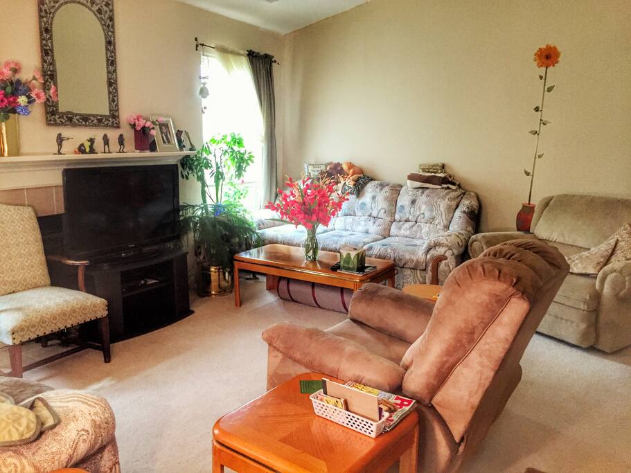 Spacious living room with plenty of seats