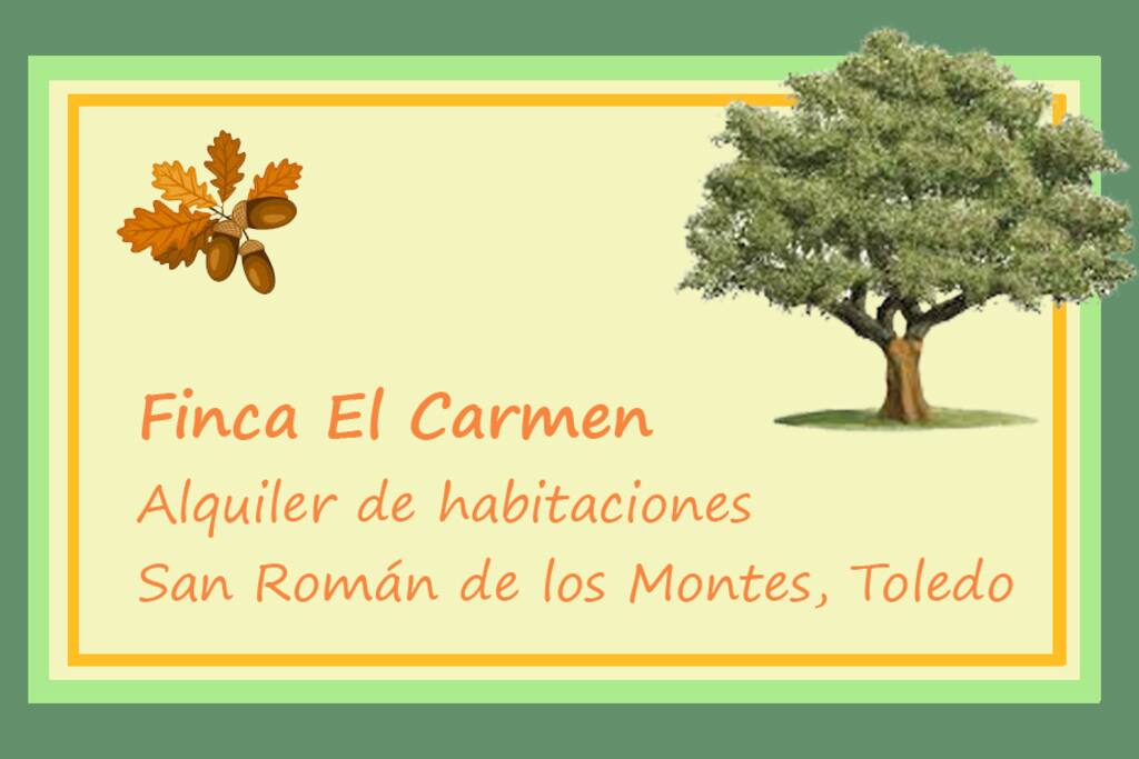 Tarjeta Visita