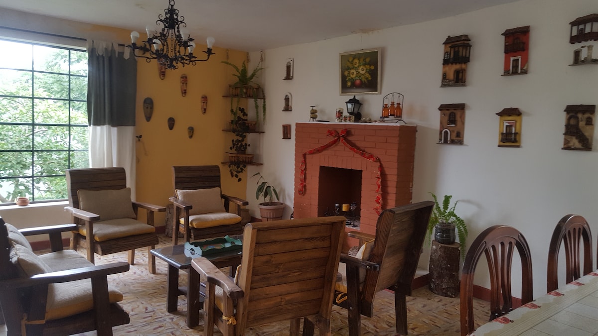 A cozy living area features comfortable wooden chairs arranged around a central table. A fireplace is positioned against the wall, decorated with plants and local art. A large window offers natural light, revealing the surrounding greenery outside.