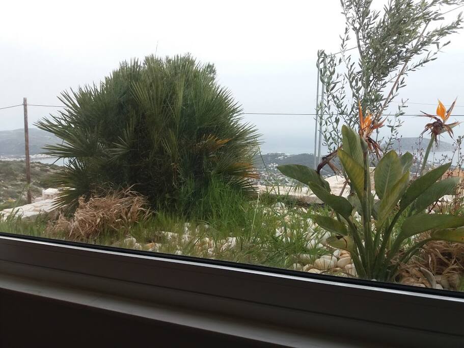View from iside the room
