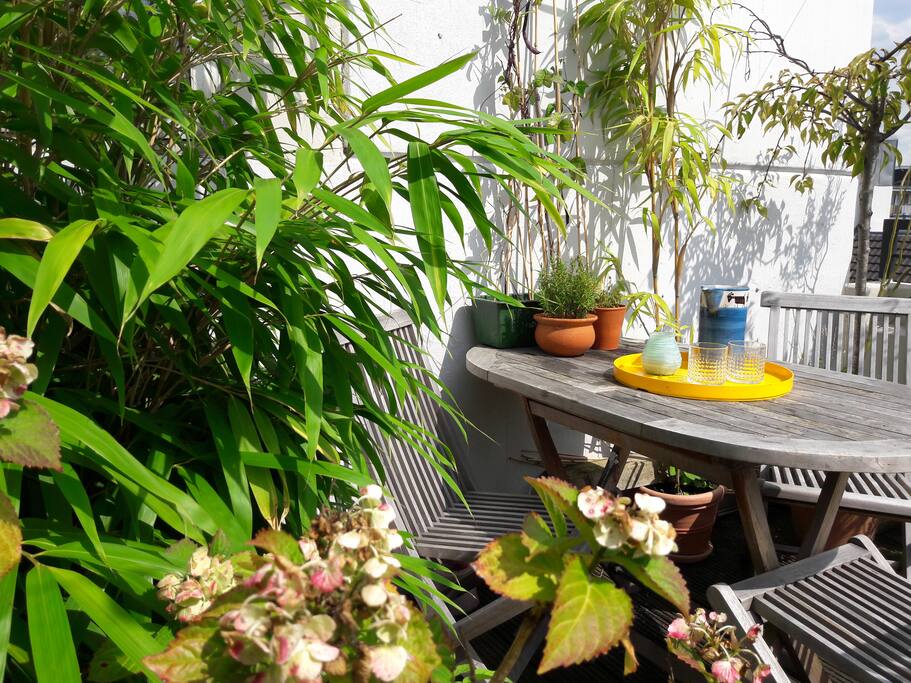 Sonniger Frühstücksbalkon