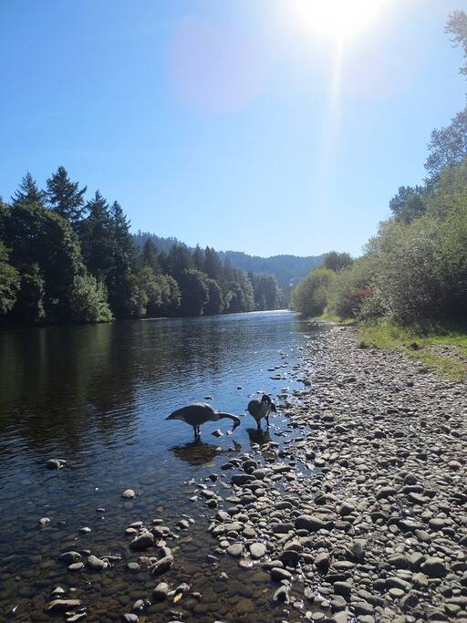 South Santiam River