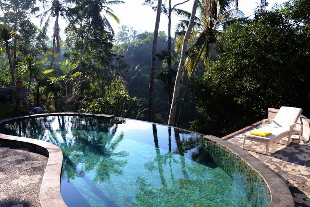 swim, swim, swim!