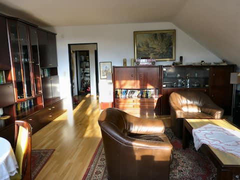 spacious, comfortable apartment