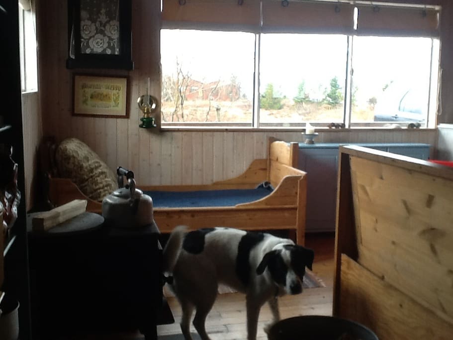 The living room with the kitchen on the right side.