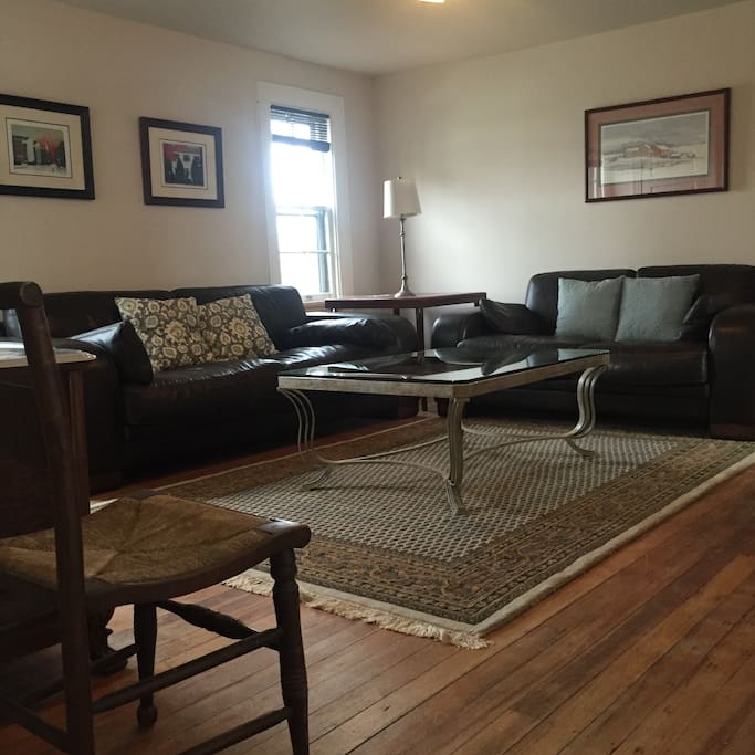 Living room: two sofas, closet, television, coffee table