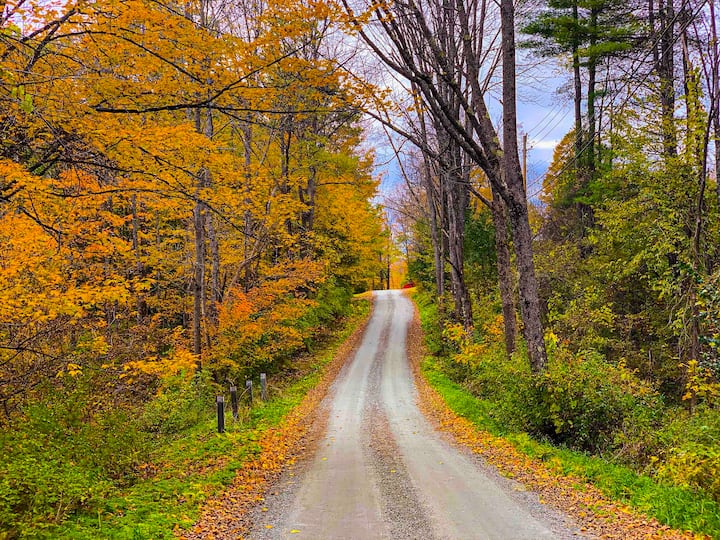 10 Best Airbnb Vacation Rentals In Woodstock, Vermont Updated 2024 Trip101