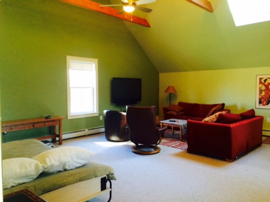 Large bedroom with vaulting ceiling, sky light, seating area, double bed and private entrance.