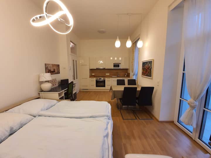 Wohnzimmer mit vollwertigem Bett/ausziehbar (Matratze)