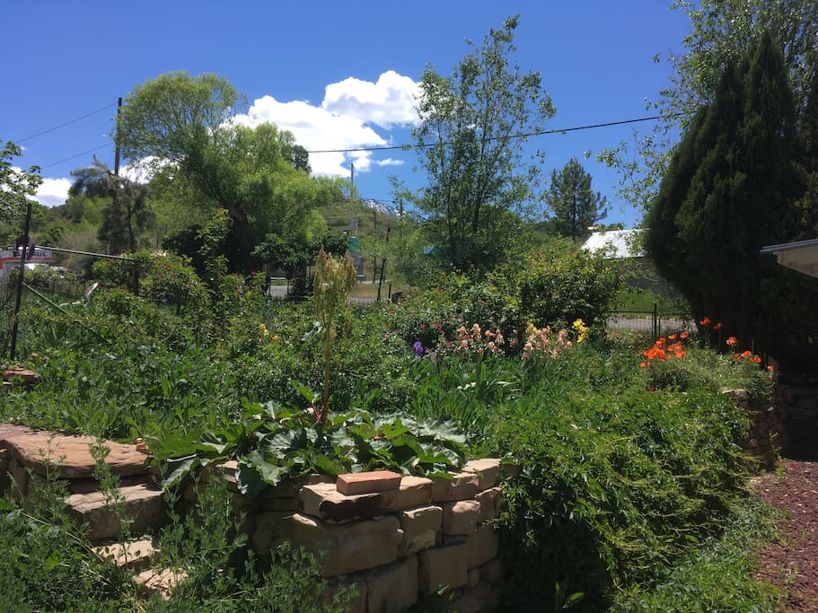 Perennial Gardens