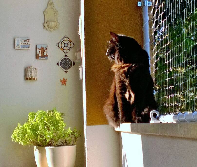 Bijoux in veranda