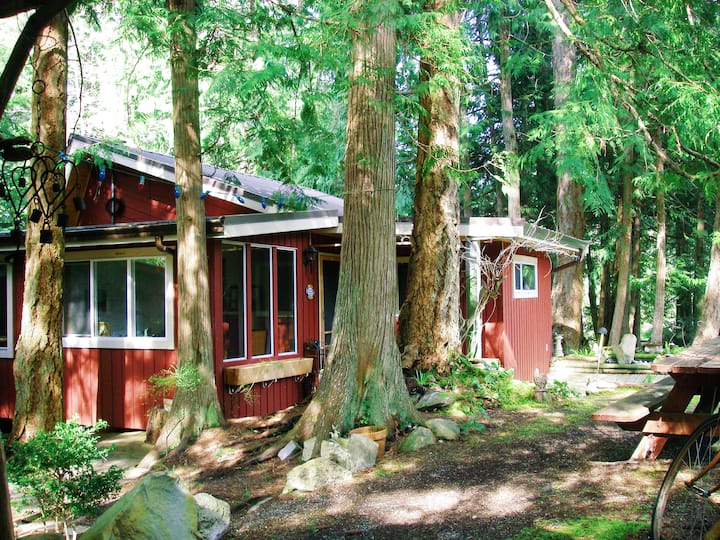 Cabin on the Lagoon Cabins for Rent in Madeira Park, British Columbia, Canada Airbnb