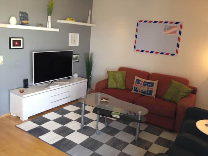 Top 10 LongTerm Rentals In Reykjavík, Iceland Updated 2024 Trip101