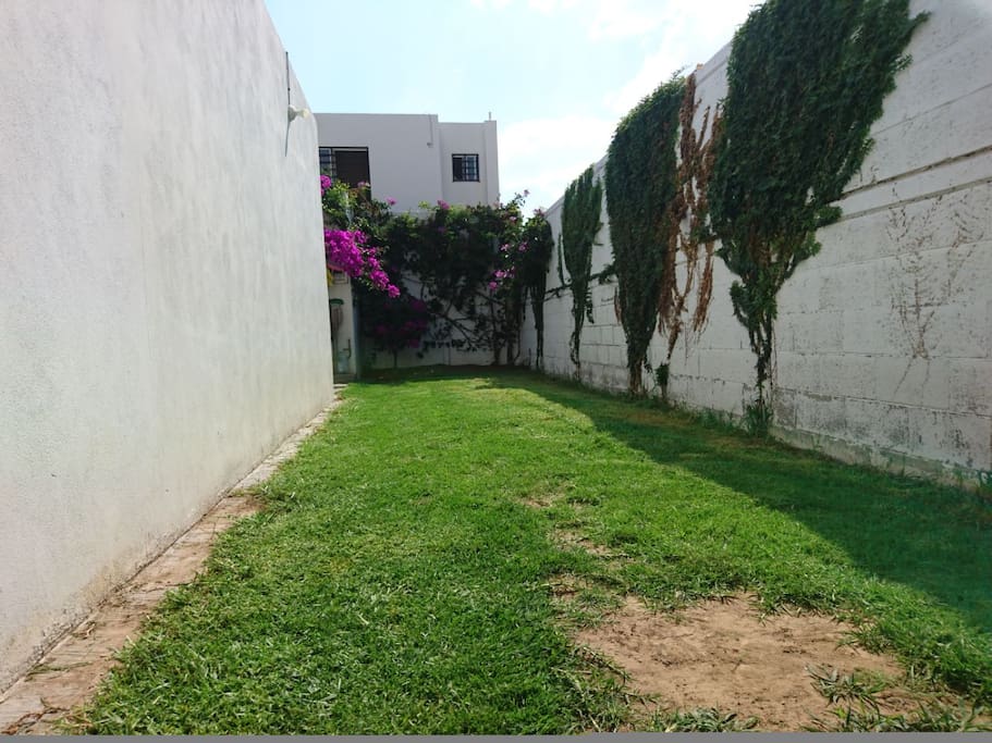 Jardin Interno