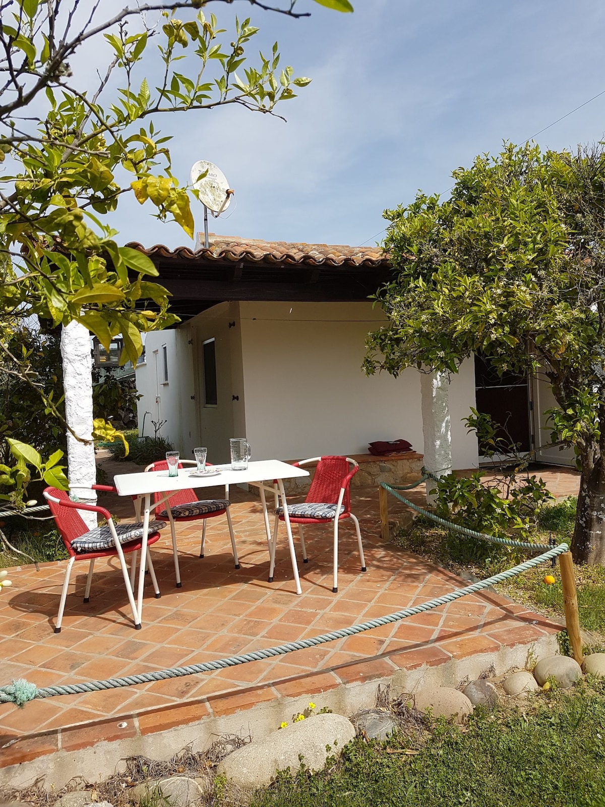 An exterior view of a charming cottage is displayed, surrounded by orange trees. A small covered terrace features a white table with red chairs, set against a backdrop of a light-colored building. Lush grass outlines the patio area, creating a serene outdoor space.