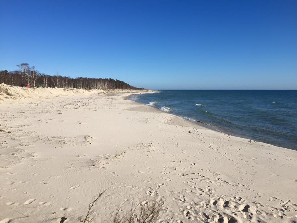 A wide stretch of sandy beach is visible, meeting the calm blue waters of the sea. The shoreline is bordered by a line of trees in the distance, under a clear blue sky. Gentle waves can be seen lapping at the shore.