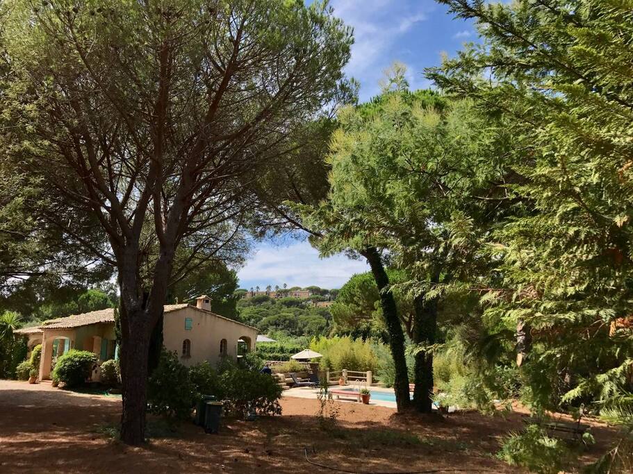 L'ensemble vue de loin