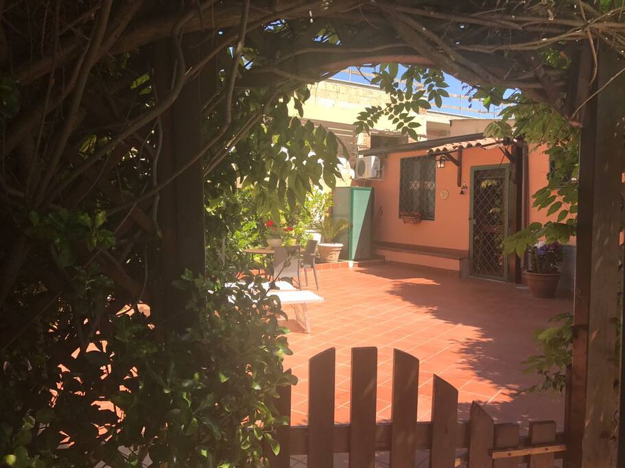 Terrace and Entrance