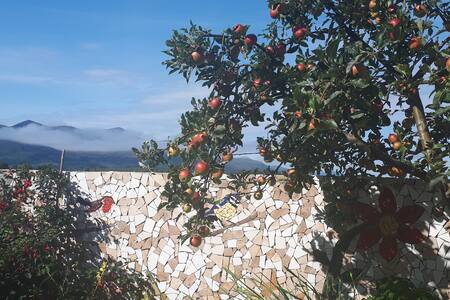 Scenic Garden Apartment Killarney and INEC