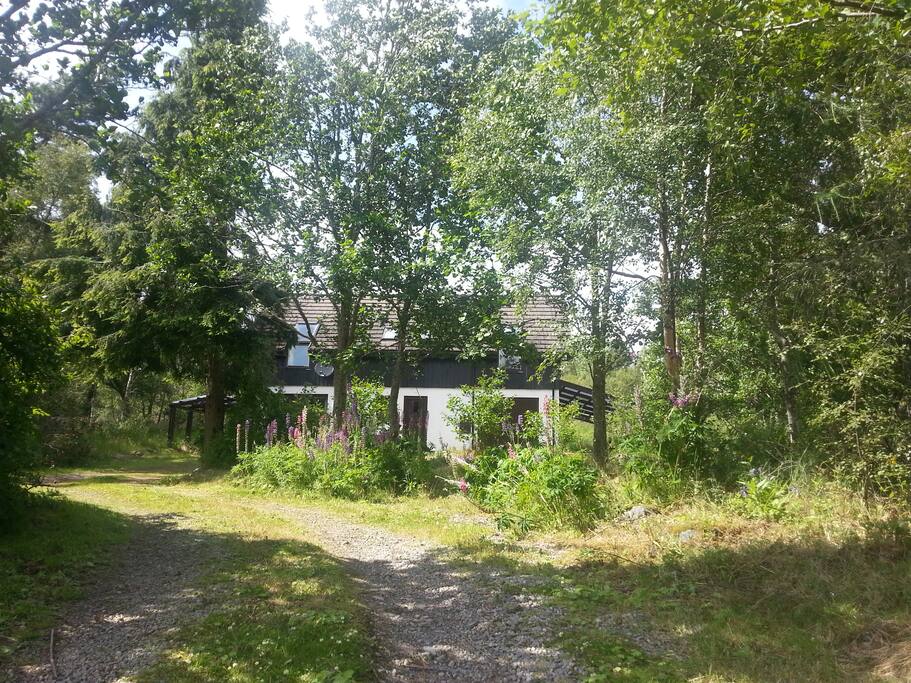 Lovely woodland setting