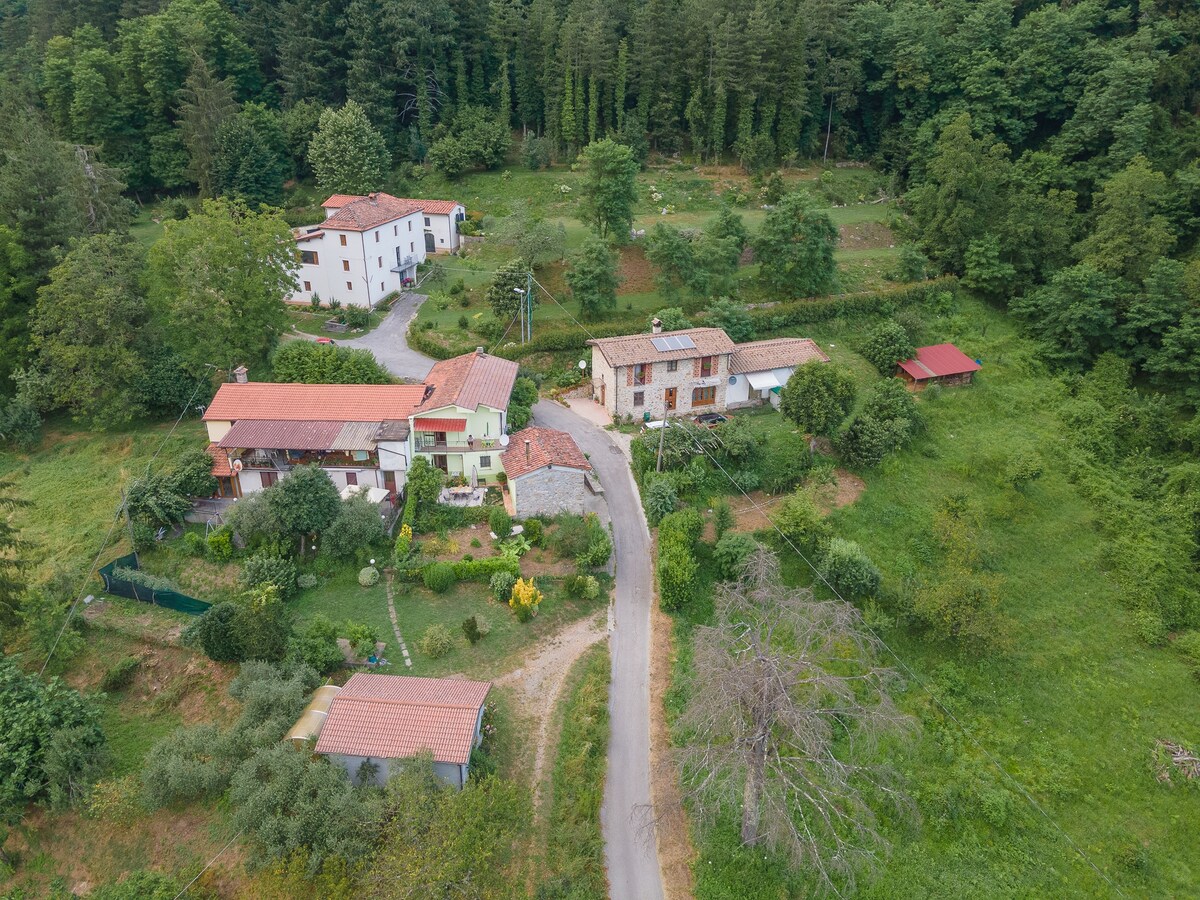 The aerial view reveals a peaceful rural setting, featuring a cluster of charming houses surrounded by lush greenery and trees. A winding road leads through the landscape, while the vibrant colors of the roofs and the natural environment create a harmonious atmosphere.