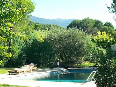 Your charming house, Luberon near Lourmarin.