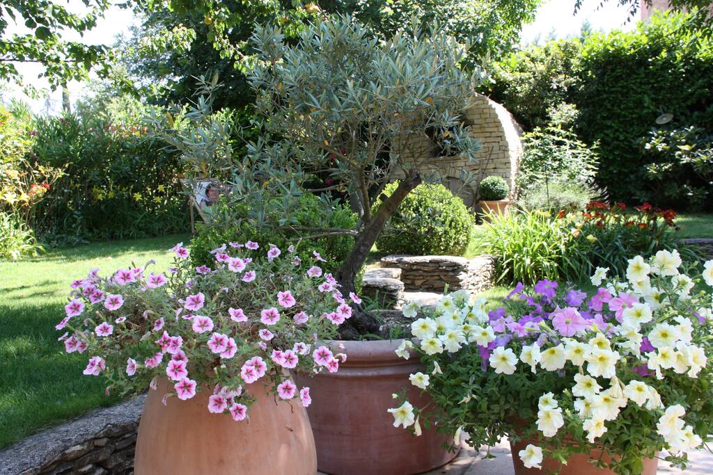 jardin