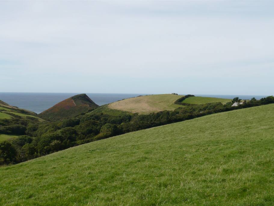 Remote and Peaceful, nestled among hedgerows fields and clifftops - just to the right there above - is Cleave Farm and The Barn!