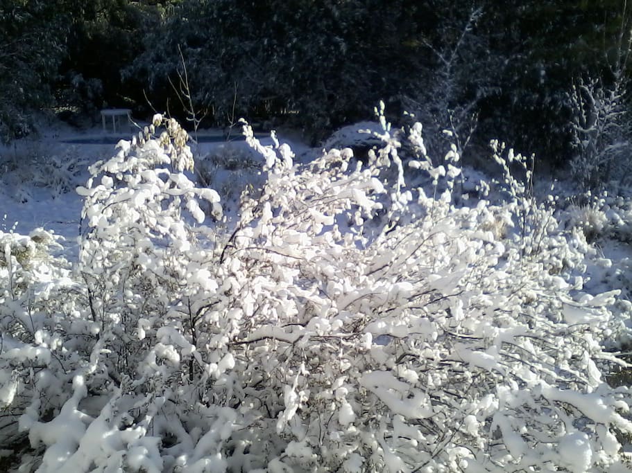 patio en invierno