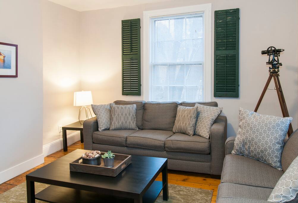 Living room sleeper sofa