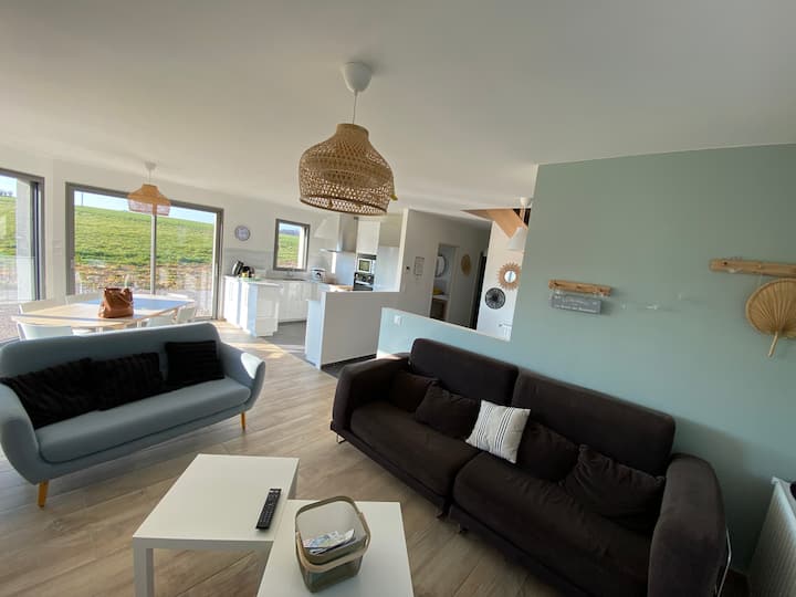 La Bécassine Bonnelle *️⃣*️⃣*️⃣ - Noyelles-sur-Mer