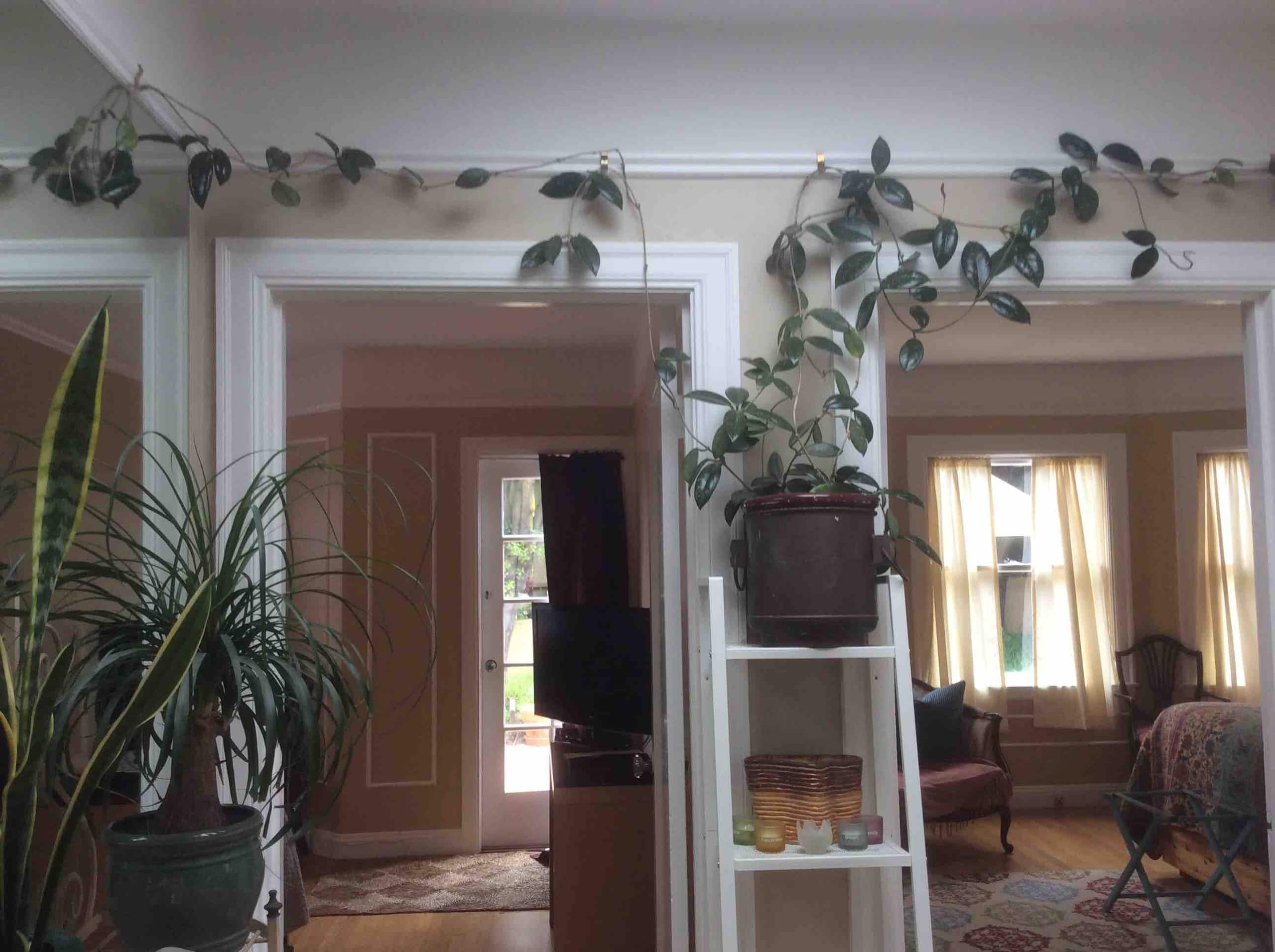 Home in San Francisco · ★4.91 · 3 bedrooms · 3 beds · 1.5 baths - Image 2
