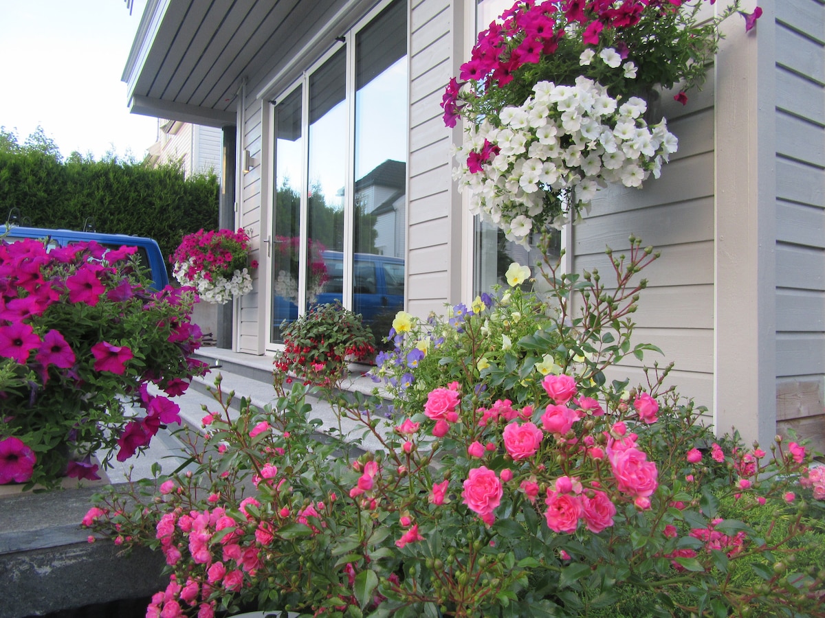 The entrance is adorned with vibrant flower planters, featuring clusters of pink, white, and purple blooms. Lush greenery surrounds the area, creating a welcoming and colorful display. Brightly blooming flowers bring liveliness to the neutral facade of the building.