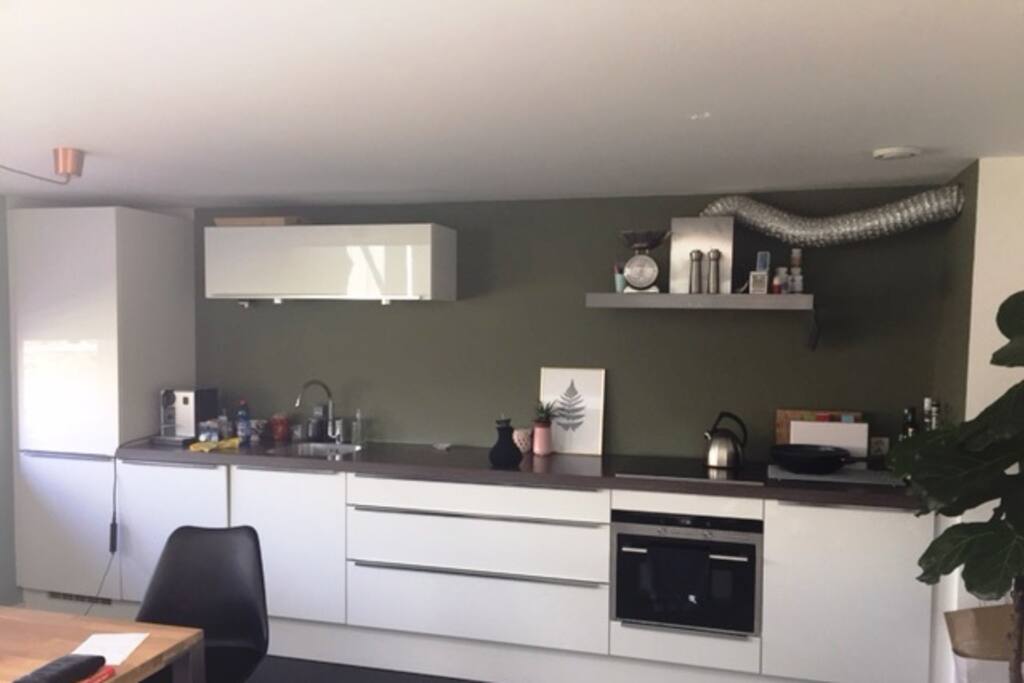 Modern Kitchen