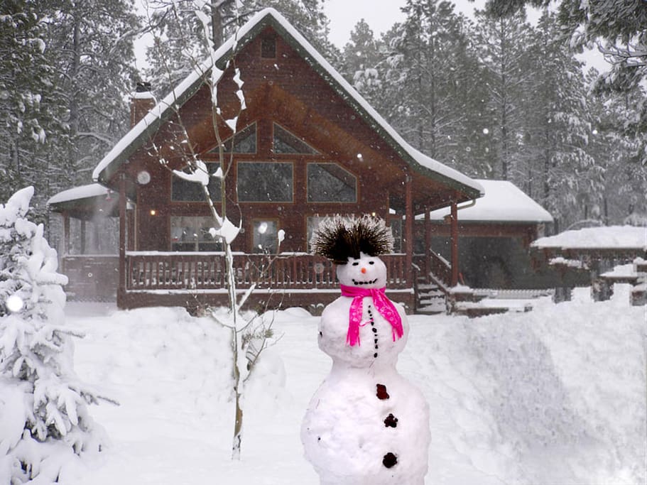 For The Perfect White Winter - Like vacationing in a snow globe!