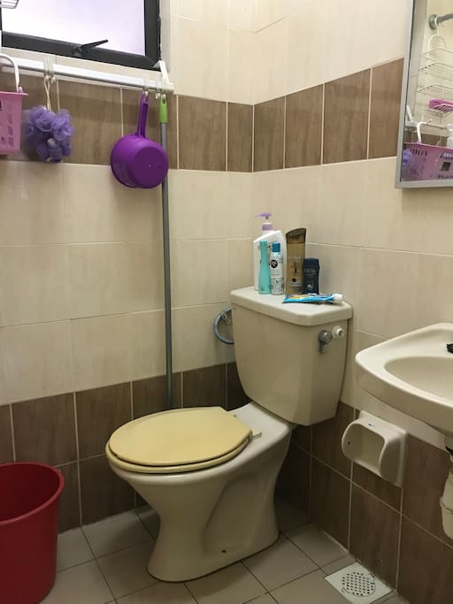 Master Bedroom Toilet
Toiletries - shower gel and sponge. Shampoo, toothpaste, facial wash.