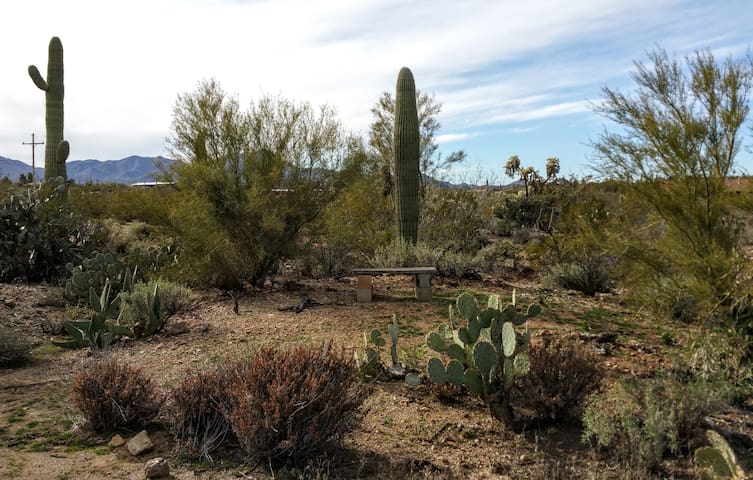 Peaceful urban-desert dwelling