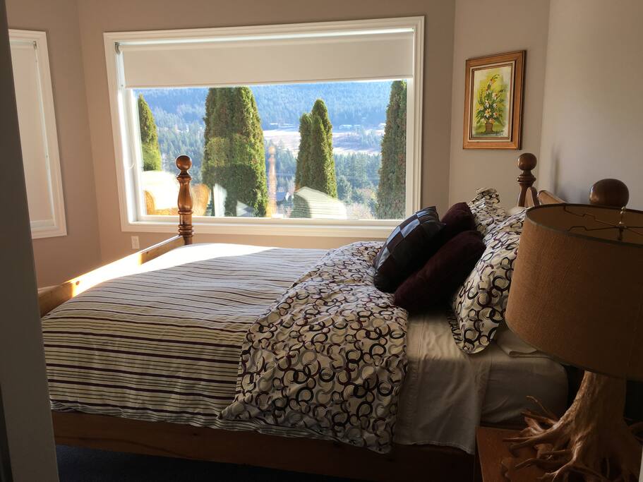 Queen size bedroom with walk in closet.