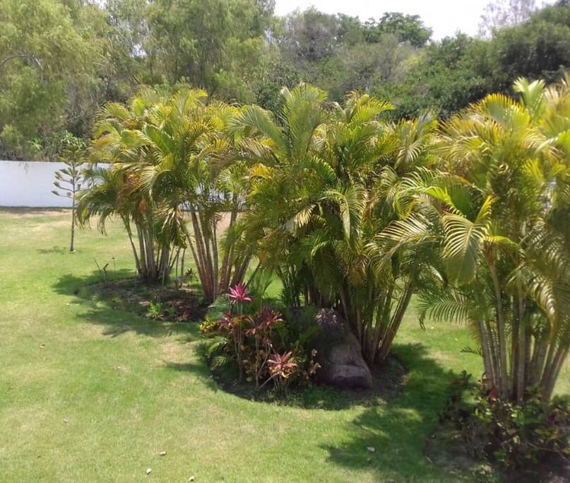 Uno Los jardines del coto