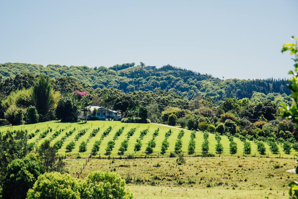 Beautiful Lighthouse Homestead nestled among the organic orchard