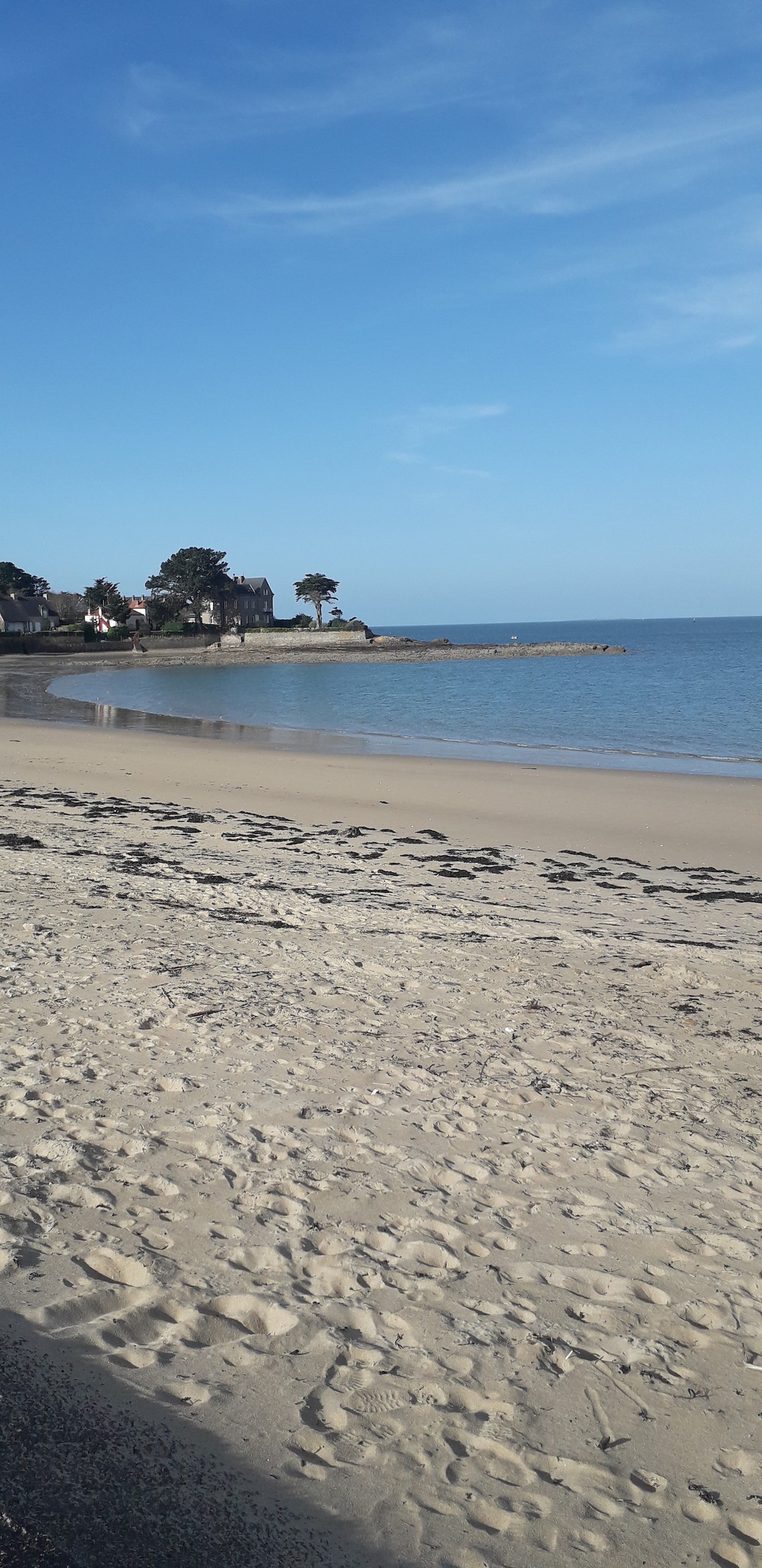 A sandy beach stretches along the shoreline, meeting calm waters under a clear blue sky. The gentle curve of the coastline is lined with trees and houses in the background, creating a serene atmosphere. The beach is free of crowds, inviting a peaceful visit.