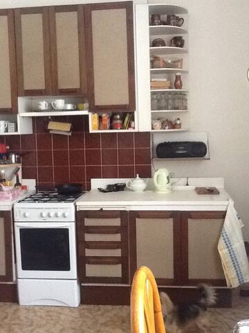 Praha Center;Kitchen,2 bedroom Wifi in total 82 m² gallery image 2