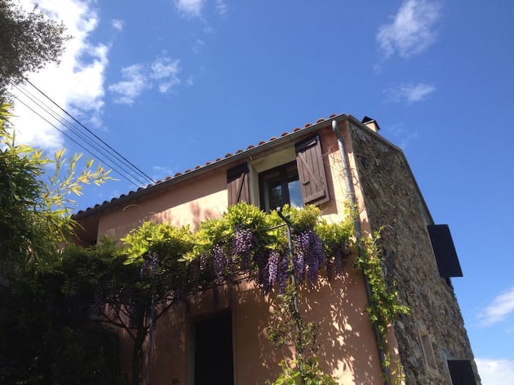 charming house center of Corsica Houses for Rent in PoggiodiVenaco, Corsica, France Airbnb