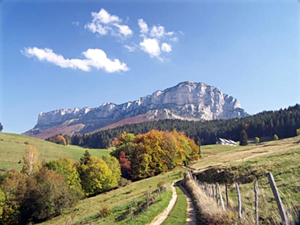 A scenic view captures a rocky mountain range rising in the background under a bright blue sky with scattered clouds. Lush green fields and diverse trees line a winding dirt path leading through the landscape, displaying vibrant autumn colors.