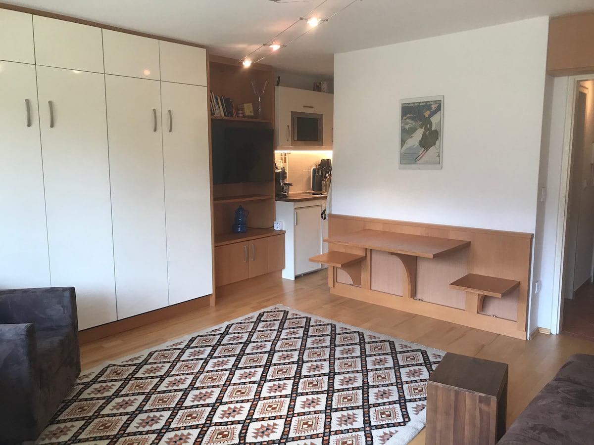 The living area features built-in cabinets and a wall-mounted TV, complemented by a kitchenette. A patterned rug covers the wooden floor, while a light wooden shelf provides additional display space. Two dark sofas invite relaxation in this well-utilized, functional space.