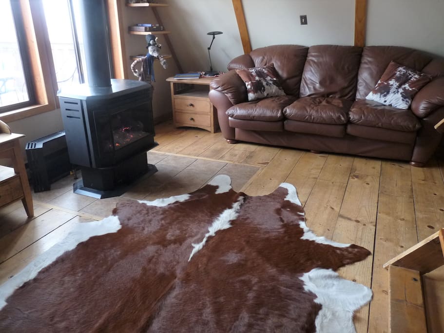 Living room with cozy gas stove