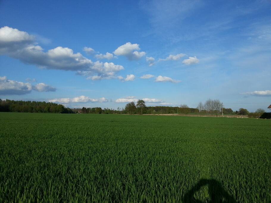 Wunderschöne münsterländer Landschaft, die Erholung verspricht
