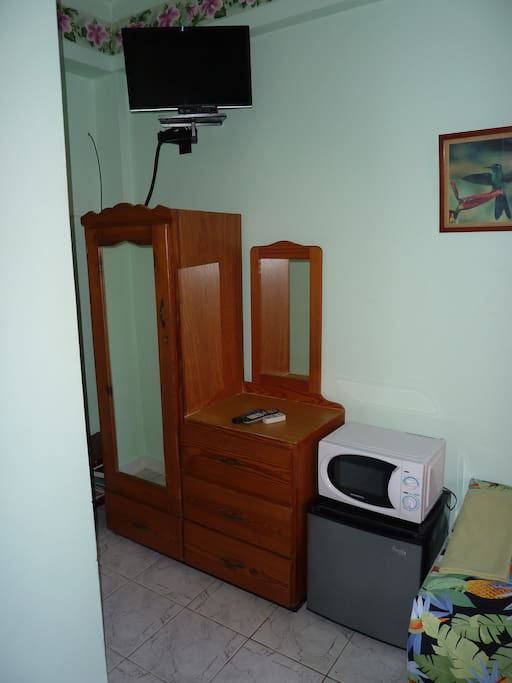 Showing TV, minibar/fridge and microwave