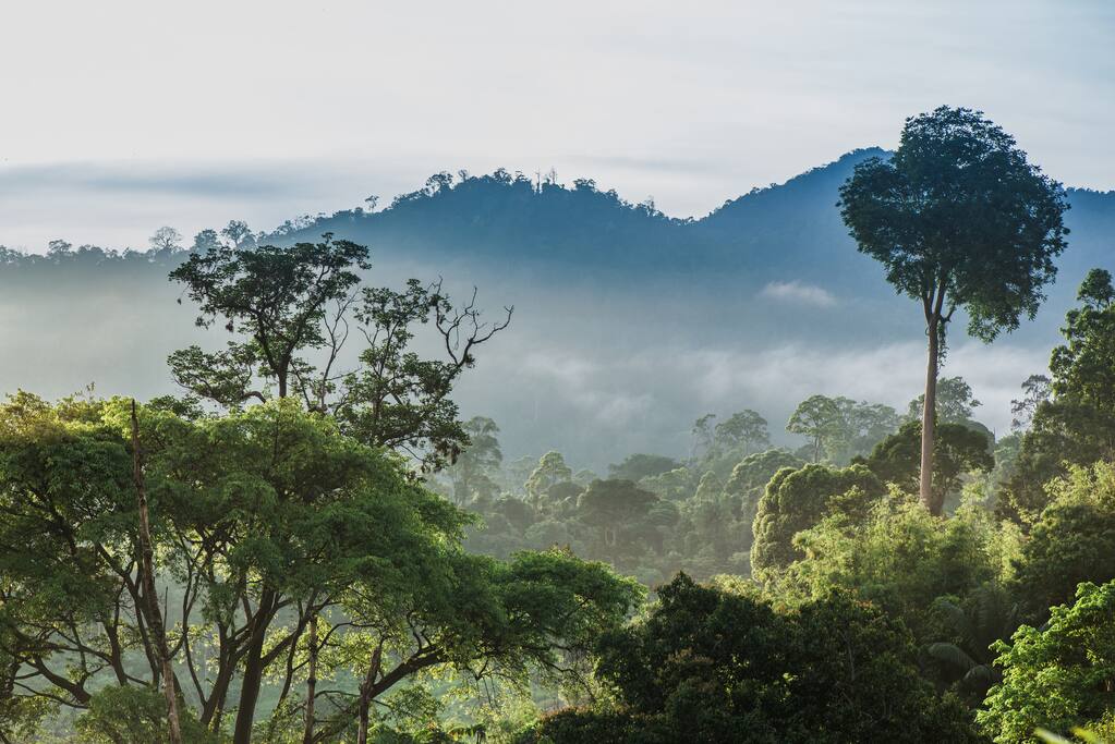 View from the top of Tanarimba.