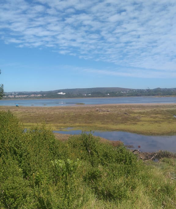 river and lagoon view